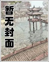 五万左右公路车综合车架
